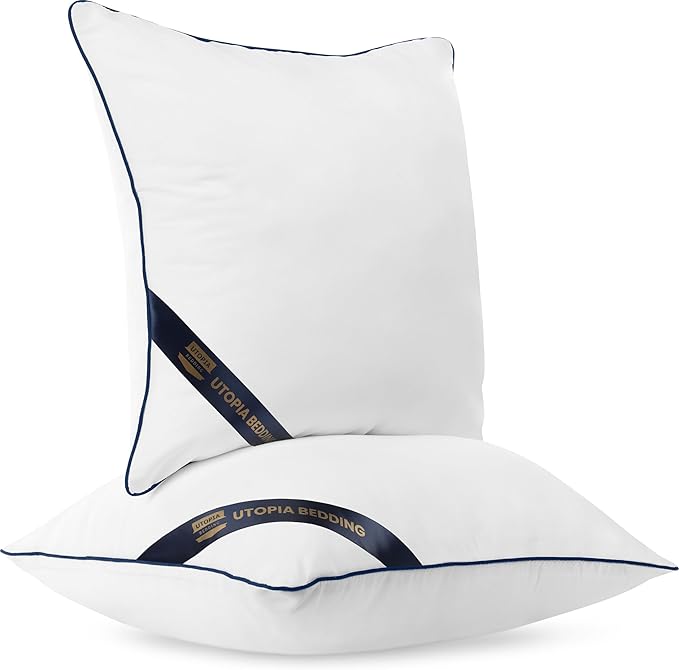 Utopia Bedding Throw Pillow Inserts (Pack of 2, White), 22 x 22 Inches Decorative Indoor Pillows for Sofa, Bed, Couch, Cushion Sham Stuffer