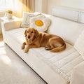 Couch Cover for Dogs Washable, Fuzzy Pet Couch Covers for 3 Cushion Sofa Pet Friendly, Non Slip Sofa Cover (White, 23.6" x 47"/60 x 120cm)