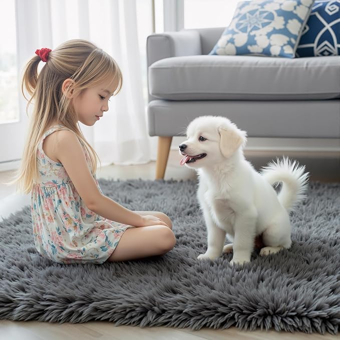 Rugs for Living Room 6x9, Alfombras para Salas Shag Large Plush Soft Area Rug, Shaggy Carpets for Bedroom, Kids Boys Girls Home Decor Aesthetic (Dark Grey, 6 x 9 Feet)