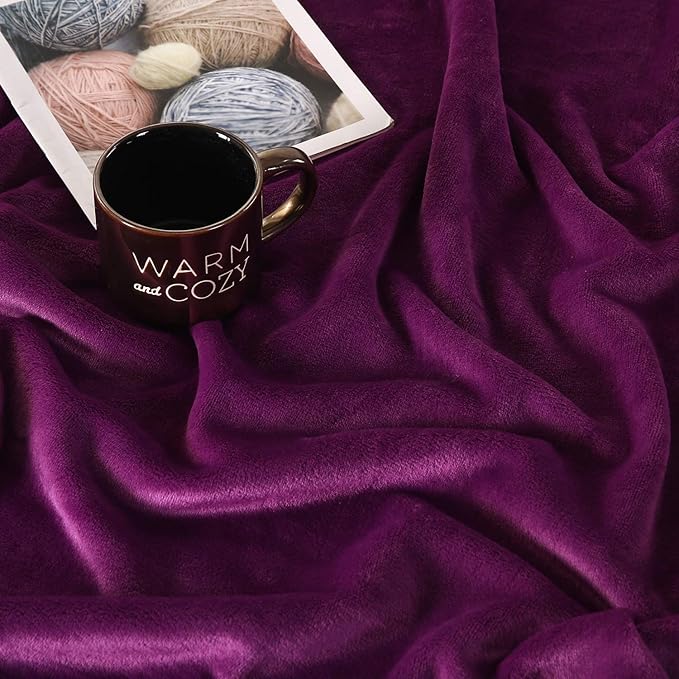 TASTHROW Large Flannel Fleece Throw Blanket, 50×70 Inch - Cozy Lightweight Thick Blanket - All Seasons Suitable for Women, Men and Kids (Purple)