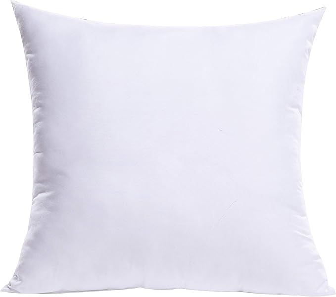 MIULEE Throw Pillow Insert Premium Pillow Stuffer Sham Square Form for Decorative Cushion Bed Couch Sofa 27x27 Inch