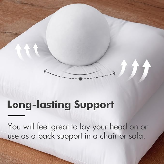 MIULEE Throw Pillow Insert Premium Pillow Stuffer Sham Rectangle for Decorative Cushion Bed Couch Sofa 17x17 Inch