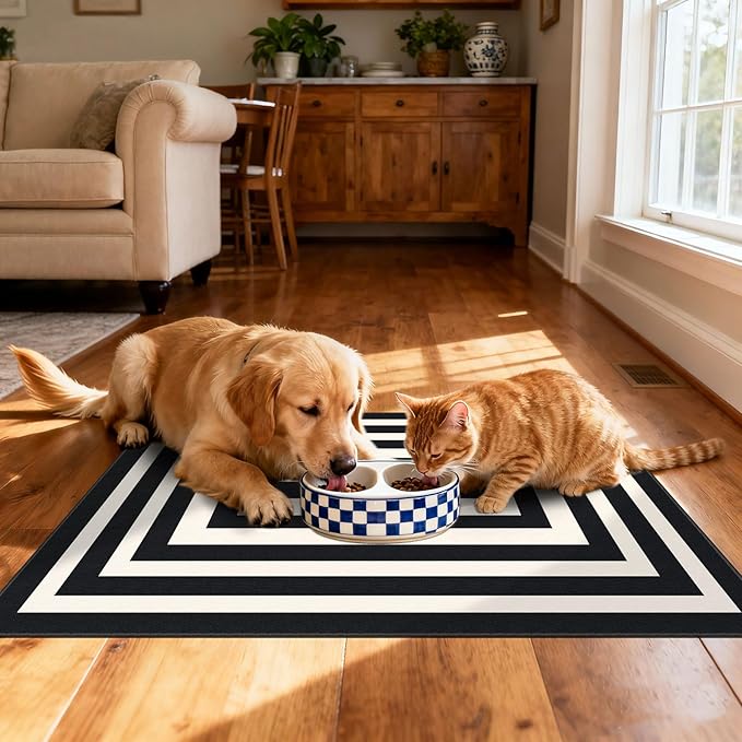 Front Door Mat Outside Entrance - 2x3 Modern Non-Slip Washable Doormat Indoor Outdoor Entrance Black White Geometric Striped Rug Small Throw Rugs for Entryway Bedroom Kitchen Front Porch Decor