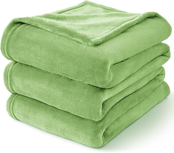 BEDELITE Fleece Blankets Queen Size Grass Green Throw Blankets for Bed, Luxury Plush Cozy Fuzzy Blanket 90x90 inches, Super Soft Warm Lightweight Throw Blanket All Seasons Suitable