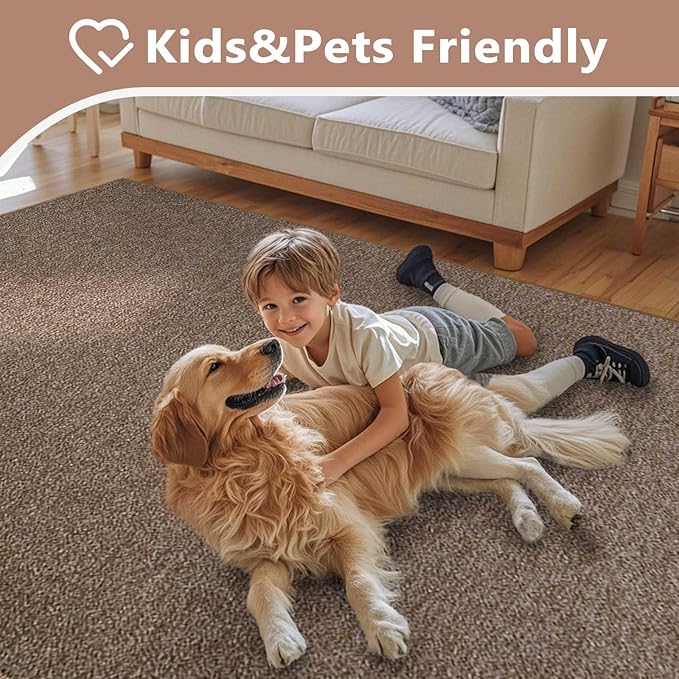 FinRèc 4x6 Washable Area Rugs for Bedroom Living Room, Low Pile Thin Rug Solid Color, Non-Slip Carpet Indoor for Home Decor (Brown)