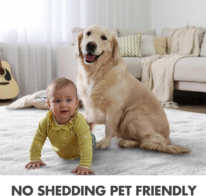 4x6 Ft Shag Rugs for Bedroom Living Room, Ultra Soft Fluffy Furry Area Rugs for Indoor Floor, Aesthetic Carpet for Kids Home Decor (White)