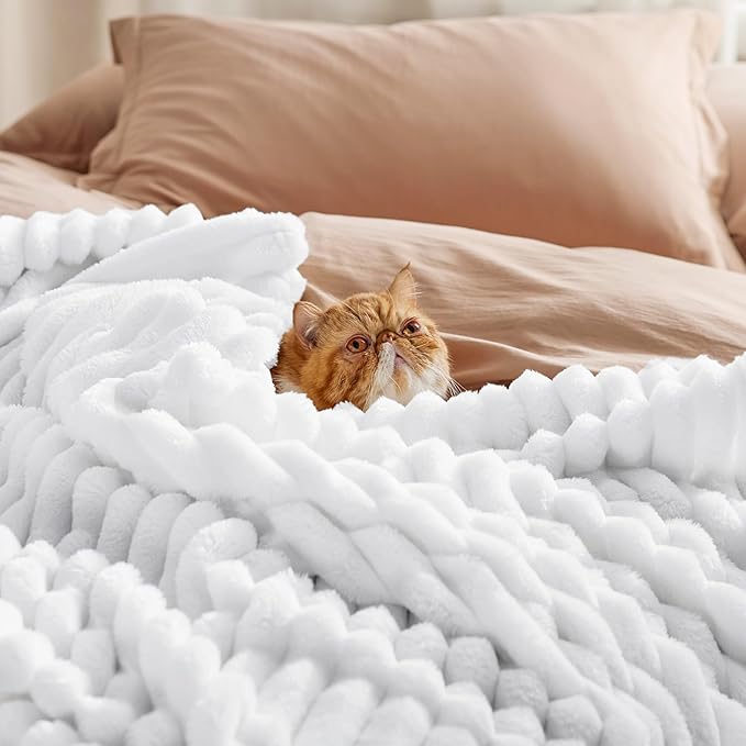 Bedsure GentleSoft King Throw Blanket for Couch - Cozy Soft Blankets for Women, Cute Small Fleece Throws for Girls, Bright White, 108x90 Inches