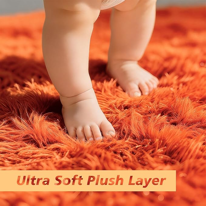 6x9 Fluffy Area Rug for Living Room,Shag Area Rugs for Bedroom,Orange Soft Fuzzy Rug Non-Shedding Indoor Plush Carpet for Kids Bedroom Nursery Dorm Home Decor