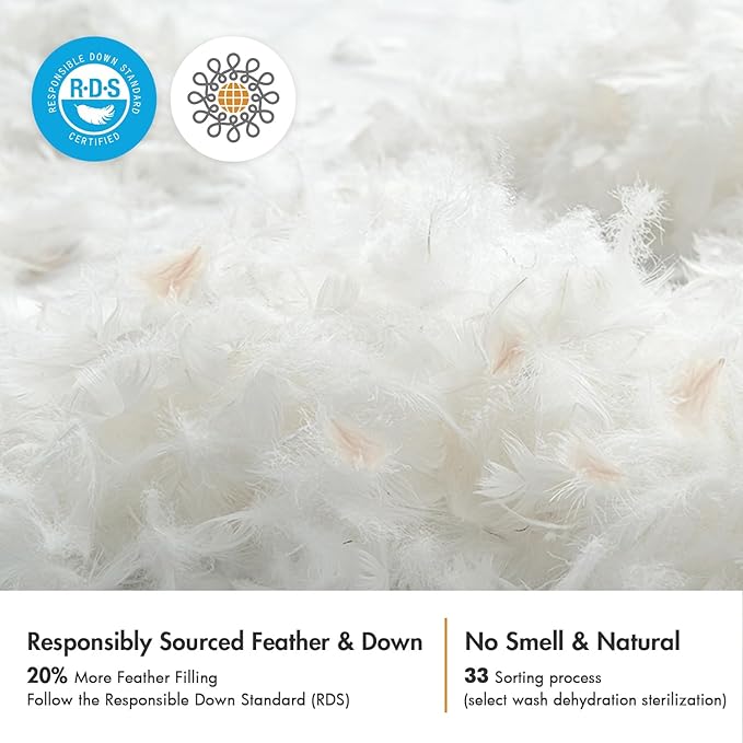 MIULEE Pillows Queen Size Set of 2 Down Feather Throw Pillows for Couch Sofa Bed, Decorative Fluffy Cotton Fabric Inserts,White 20x30