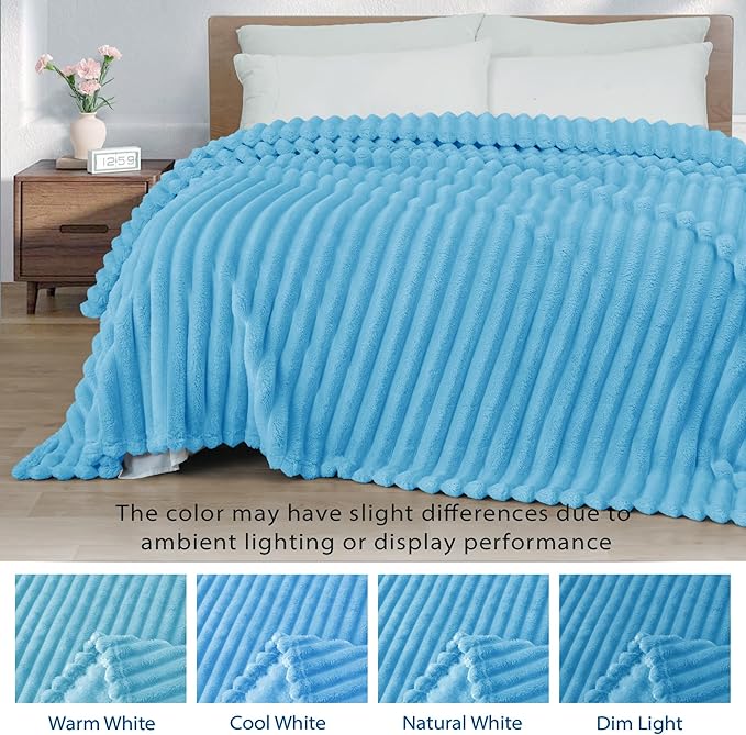 Exclusivo Mezcla Twin Size Flannel Fleece Blanket, Super Soft Striped Jacquard Bed Blanket, Lightweight Fuzzy Cozy for All Seasons, 60x80 Inches, Blue