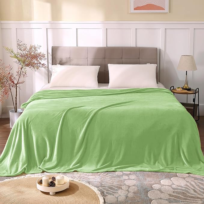 BEDELITE Fleece Blankets Queen Size Grass Green Throw Blankets for Bed, Luxury Plush Cozy Fuzzy Blanket 90x90 inches, Super Soft Warm Lightweight Throw Blanket All Seasons Suitable