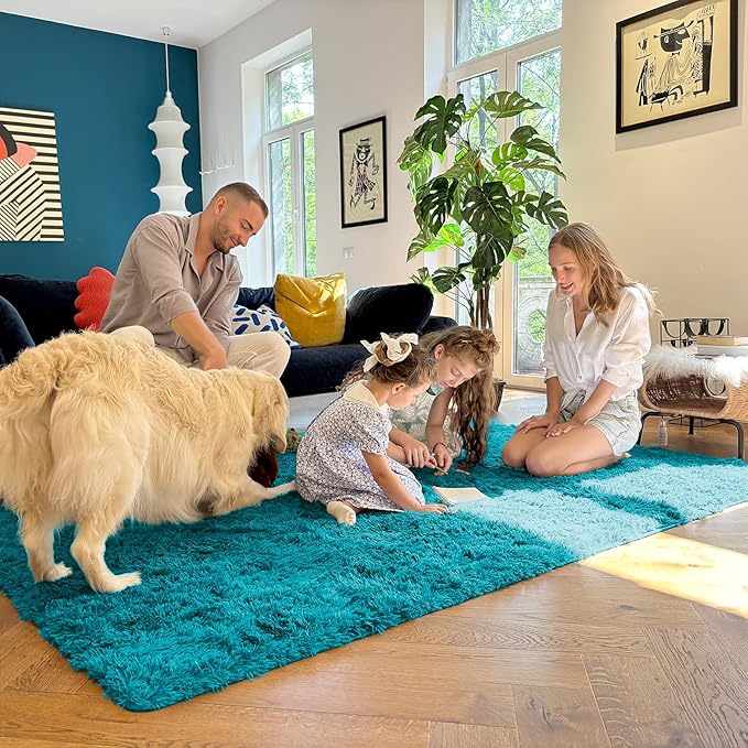 OLANLY 5x7 Machine Washable Large Area Rugs for Living Room, Bedroom, Soft Fluffy Shaggy Bedside Rug, Indoor Floor Carpet for Kids Girls and Boys, Dorms, Nursery, Home Decor Aesthetic, Teal