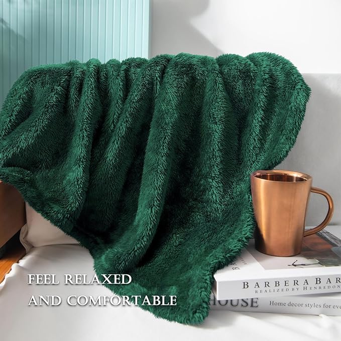 Exclusivo Mezcla Plush Fuzzy Fleece Bed Blanket Queen Size, Super Soft, Fluffy and Warm Blankets for Couch, Bed, All Season (Forest Green, 90x90 inches)