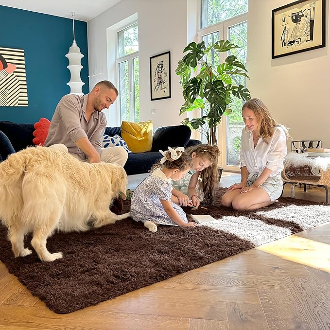 OLANLY 5x7 Machine Washable Large Area Rugs for Living Room, Bedroom, Soft Fluffy Shaggy Bedside Rug, Indoor Floor Carpet for Kids Girls and Boys, Dorms, Nursery, Home Decor Aesthetic, Coffee