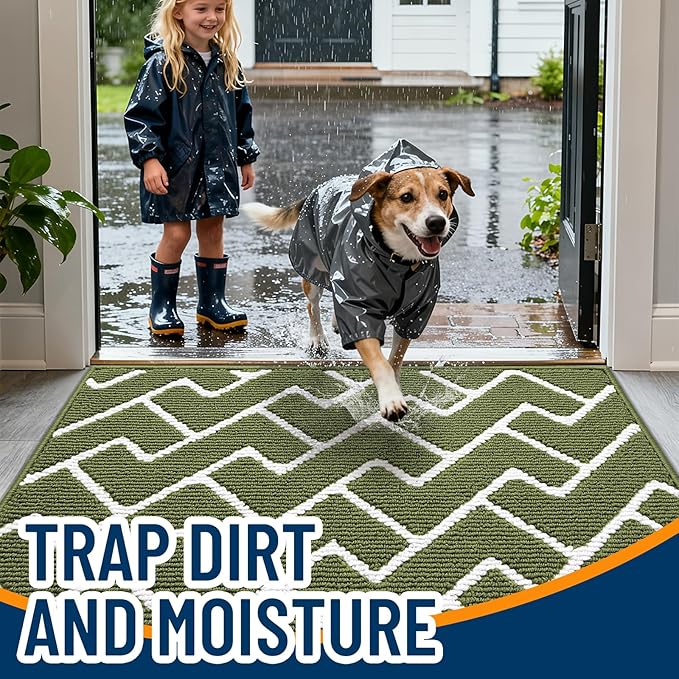 OLANLY Front Door Mat, Non-Slip Rubber Backing, Dirt Resistant and Absorbent, Washable, Easy to Clean Low-Profile Indoor Doormat for Back Door, Entryway, Inside Entrance, 40x32, Green