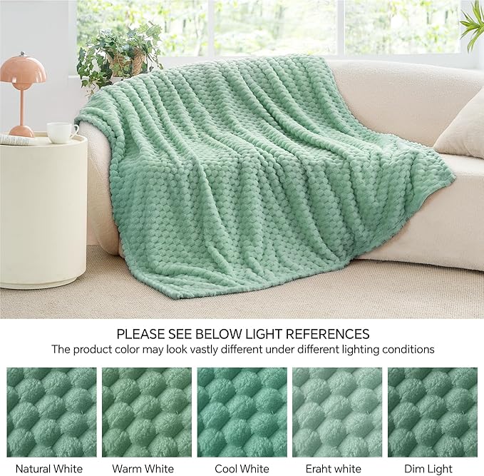 BEDELITE Fleece Throw Blanket for Couch & Bed - 3D Jacquard Decorative Mint Green Blanket, Super Soft and Cozy Warm Fuzzy Blanket All Seasons Suitable, 60x80Inches
