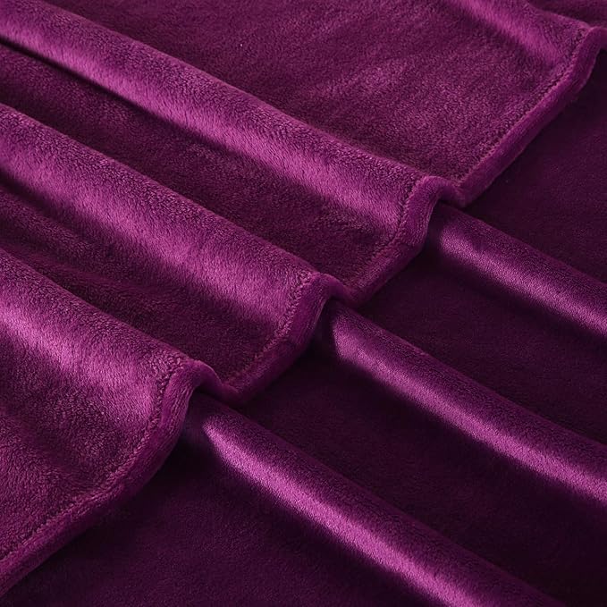 TASTHROW Large Flannel Fleece Throw Blanket, 50×70 Inch - Cozy Lightweight Thick Blanket - All Seasons Suitable for Women, Men and Kids (Purple)