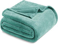 Exclusivo Mezcla Fleece Blankets Queen Size for Bed, Super Soft and Warm, All Season, Cozy, Plush, Lightweight, 90x90 Inches, Celadon