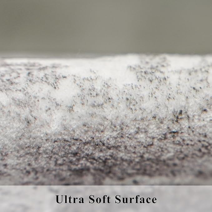 HAOYUNLAI 2x3 Entryway Area Rug: Washable Kitchen Bedroom Carpet Soft Abstract Laundry Bathroom Rugs with Non-Slip Backing Easy-Clean Distressed Home Decor Floor Mat for Pets Family (2x3,Beige/Cream)