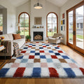 Shag Area Rug for Bedroom Living Room,4x6 Fluffy Soft Colorful Checkered Rug Fuzzy Shaggy Bedroom Carpet,Indoor Plush Floor Rugs for Kids Boys Girls Teen Dorm Nursery Home Decor