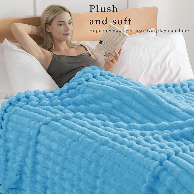 Exclusivo Mezcla Twin Size Flannel Fleece Blanket, Super Soft Striped Jacquard Bed Blanket, Lightweight Fuzzy Cozy for All Seasons, 60x80 Inches, Blue