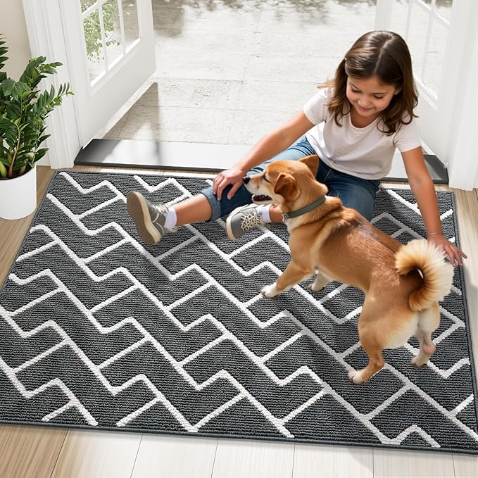 OLANLY Front Door Mat, Non-Slip Rubber Backing, Dirt Resistant and Absorbent, Washable, Easy to Clean Low-Profile Indoor Doormat for Back Door, Entryway, Inside Entrance, 40x32, Charcoal