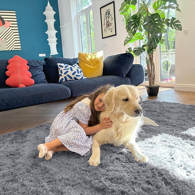 OLANLY 5x5 Area Rugs for Living Room Bedroom, Machine Washable Soft Fluffy Shaggy Bedside Rug, Indoor Floor Carpet for Kids Girls and Boys, Dorms, Nursery Rooms, Home Decor Aesthetic, Light Grey