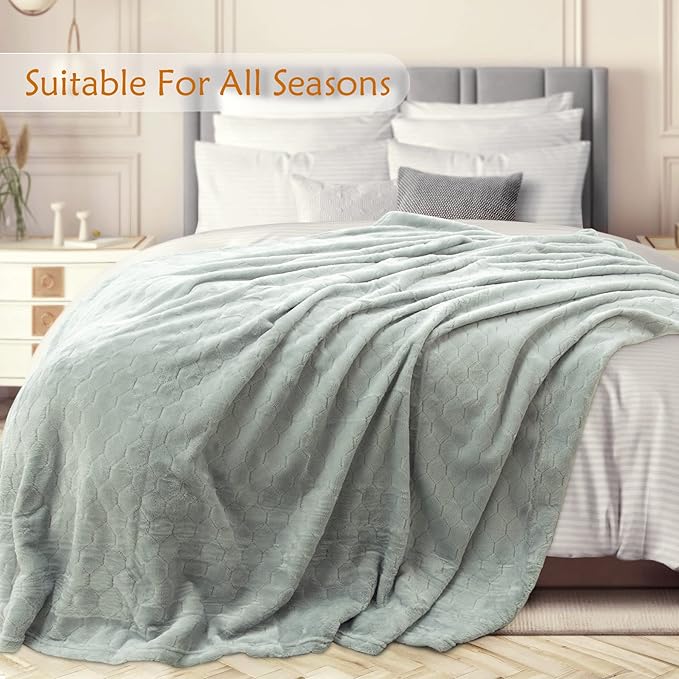 TOONOW Fleece Blanket Super Soft Cozy Throw Blanket 50" x 60", Lightweight Fuzzy Comfy Textured Flannel Blanket Warm Plush Throw Blankets for Couch, Sofa, Bed, Mirage Gray