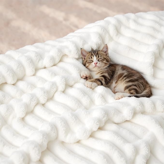 Bedsure GentleSoft California King Size White Fleece Blanket for Bed - Cozy Soft Blankets for Women, Cute Large Throws for Girls, Off White, 102x96 Inches
