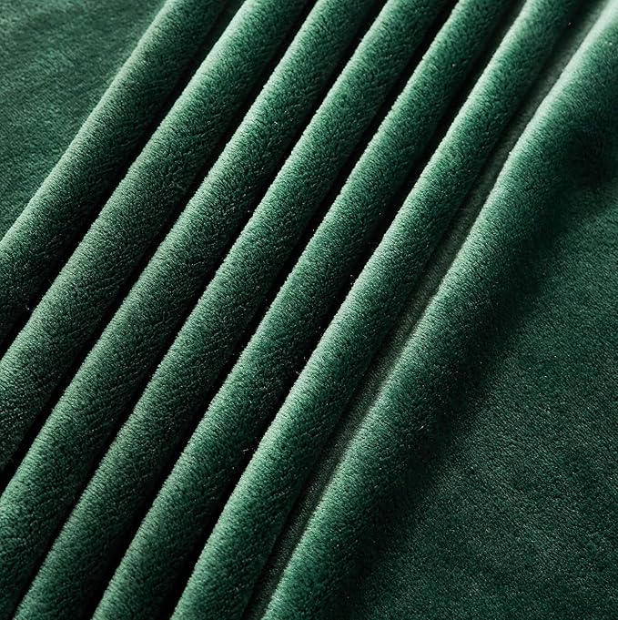 TASTHROW Large Flannel Fleece Throw Blanket, 60×80 Inch - Cozy Lightweight Thick Blanket - All Seasons Suitable for Women, Men and Kids (Dark Green)