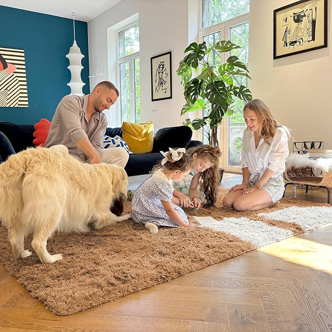 OLANLY 5x7 Machine Washable Large Area Rugs for Living Room, Bedroom, Soft Fluffy Shaggy Bedside Rug, Indoor Floor Carpet for Kids Girls and Boys, Dorms, Nursery, Home Decor Aesthetic, Khaki
