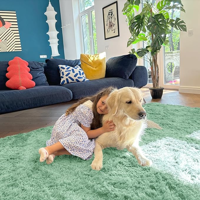 OLANLY 3x5 Machine Washable Small Bedside Rug, Soft Fluffy Shaggy Rugs for Living Room, Bedroom, Indoor Floor Carpet for Kids Girls and Boys, Preppy Dorms, Nursery, Home Decor Aesthetic, Mint Green