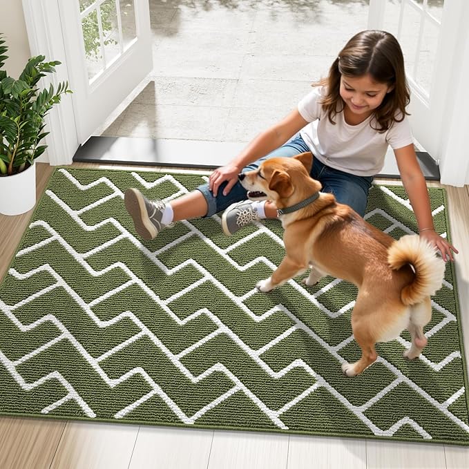 OLANLY Front Door Mat, Non-Slip Rubber Backing, Dirt Resistant and Absorbent, Washable, Easy to Clean Low-Profile Indoor Doormat for Back Door, Entryway, Inside Entrance, 48x32, Green