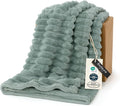 Bedsure GentleSoft Twin XL Blanket for Couch - Cozy Soft Blankets for Women, Cute Small Fleece Throws for Girls, Sage Green, 66x90 Inches