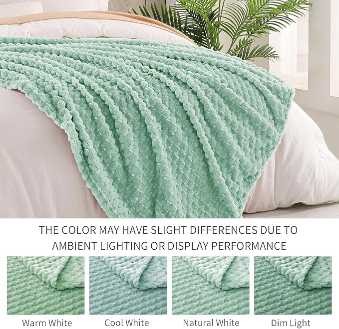 Exclusivo Mezcla Fleece Queen Blanket for Bed, Extra Large Fuzzy Sage Green Bed Blankets, Soft Cozy Plush Sofa Throws for All Seasons, 90x90 Inches