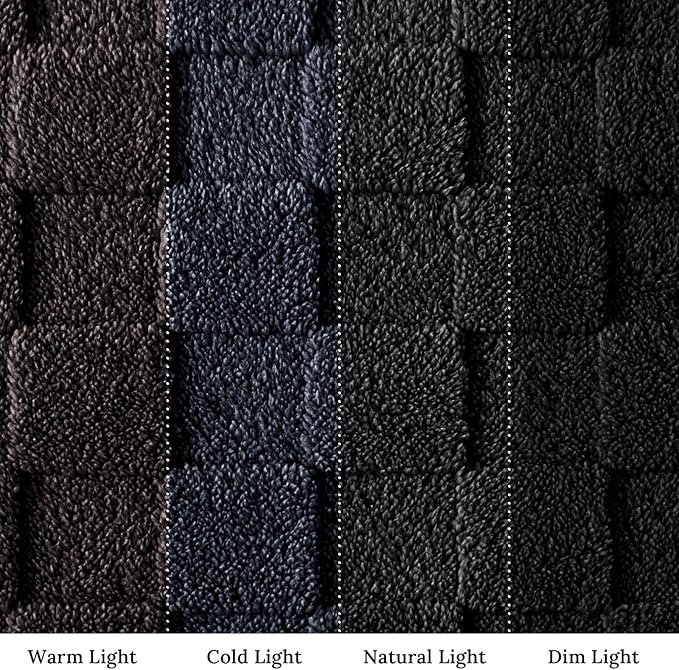 Exclusivo Mezcla Queen Size Flannel Fleece Blanket, Super Soft and Warm Lightweight Checkered Pattern Blankets for All Seasons, 90x90 Inches, Black