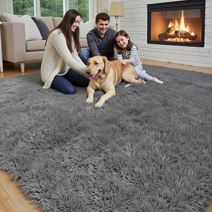 Area Rugs 10x14 Living Room, Shaggy Carpet Soft Plush Furry Bedside Rug Large Area Rugs for Bedroom Kids Girls Boys Home Decor Anti Slip(10 x 14, Dark Grey)