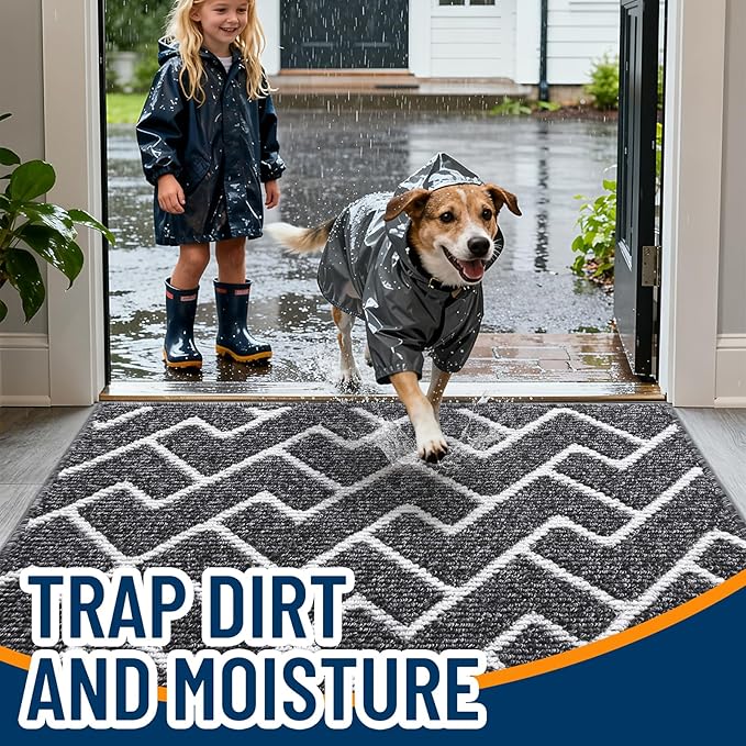 OLANLY Front Door Mat, Non-Slip Rubber Backing, Dirt Resistant and Absorbent, Washable, Easy to Clean Low-Profile Indoor Doormat for Back Door, Entryway, Inside Entrance, 32x20, Black