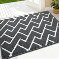OLANLY Front Door Mat, Non-Slip Rubber Backing, Dirt Resistant and Absorbent, Washable, Easy to Clean Low-Profile Indoor Doormat for Back Door, Entryway, Inside Entrance, 32x20, Charcoal