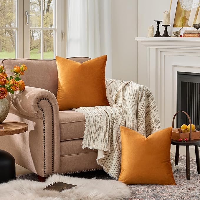 GIGIZAZA Decorative Throw Pillow Covers for Sofa,Cinnamon Burnt Orange Velvet Bed 2 Pack Soft Cushion Cover