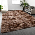 Deerhoo Large Shag Area Rugs 6 x 9, Tie-Dyed Plush Fuzzy Rugs for Living Room, Ultra Soft Fluffy Furry Rug for Bedroom, Indoor Carpet Nursery Rugs for Kids Room Home Decor, Coffee