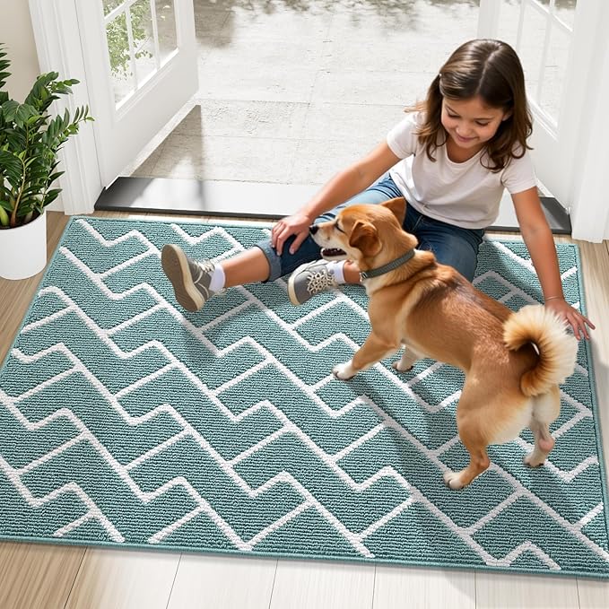 OLANLY Front Door Mat, Non-Slip Rubber Backing, Dirt Resistant and Absorbent, Washable, Easy to Clean Low-Profile Indoor Doormat for Back Door, Entryway, Inside Entrance, 32x20, Sage Green