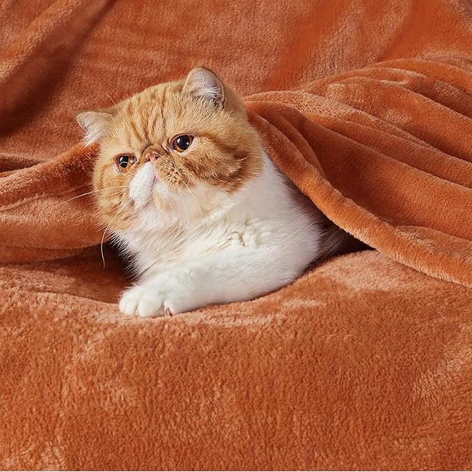 Bedsure GentleSoft Dark Orange Fleece Blanket King Size - 280GSM Soft Lightweight Plush Cozy Blankets for Bed, Sofa, Couch, Travel, Camping