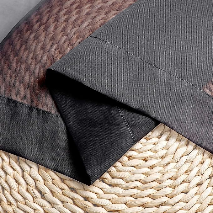 OWENIE Black Sheer Curtains 72 Inches Long 2 Panels, Transparent Voile Sheer Curtain Double Rod Pocket Gauze Drapes for Living Room Bedroom Window Sliding Glass Door Treatment, 42 x 72 Inch