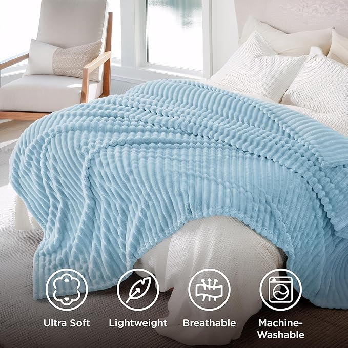 Bedsure GentleSoft Blue Full Blanket for Couch - Cozy Soft Blankets for Women, Cute Small Fleece Throws for Girls, Birthday Gifts for Women Decor Gifts, Light Blue, 84x90 Inches
