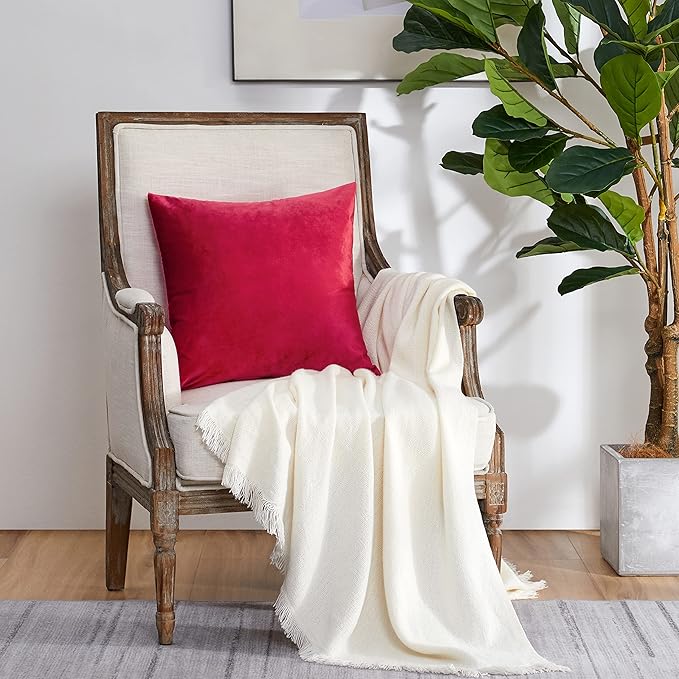 GIGIZAZA Red Velvet Decorative Throw Pillow Covers 18x18 for Sofa Bed 2 Pack Soft Cushion Covers