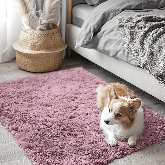 OLANLY 2x3 Machine Washable Small Bedside Rug, Soft Fluffy Shaggy Entryway Throw Rugs for Bedroom, Living Room, Indoor Floor Carpet for Kids Girls and Boys, Nursery Rooms, Home Decor Aesthetic, Blush