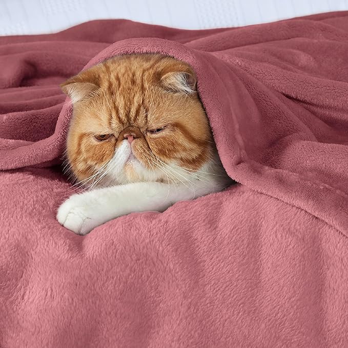 Bedsure GentleSoft Fleece Bed Blankets Queen Size Dusty Rose - Soft Lightweight Plush Fuzzy Cozy Luxury Blanket Microfiber, 90x90 inches