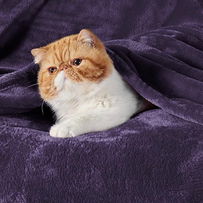 Bedsure GentleSoft Fleece Throw XL Blanket Purple - 300GSM Soft Lightweight Plush Cozy Blankets for Bed, Sofa, Couch, Travel, Camping, 50x70 inches