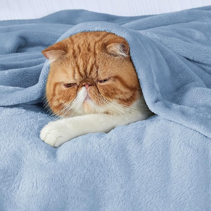 Bedsure GentleSoft Fleece Throw Blanket for Couch Light Blue - Lightweight Plush Fuzzy Cozy Soft Blankets and Throws for Sofa, 50x60 inches